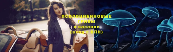 первитин Володарск