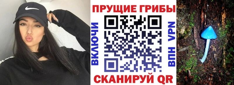 Купить  Среднеуральск  Галлюциногенные грибы Cubensis 